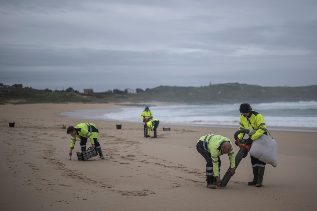 El conselleiro do Mar, sobre comer accidentalmente algún plástico: "Entran por donde entran y salen por donde salen" El conselleiro do Mar, sobre comer accidentalmente algún plástico: "Entran por donde entran y salen por donde salen"