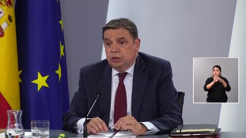 El Gobierno afirma que el vertido de pellets no genera problemas para el consumo de pescados y mariscos 