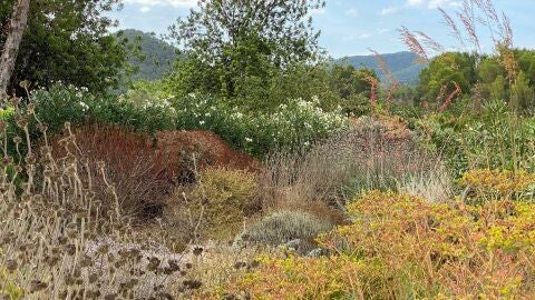 JARDINES SECOS