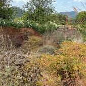 JARDINES SECOS