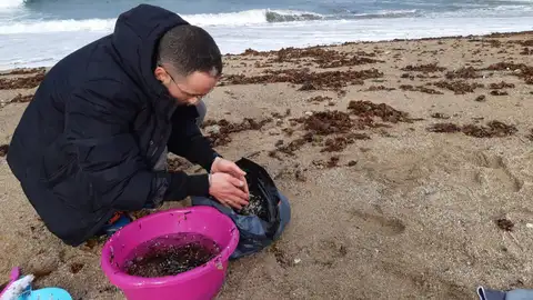 Ángel Currás, voluntario en Bens Limpiando las granzas en el arenal coruñés.