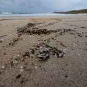  Los micro plásticos llegan a la playa de Doniños en Ferrol