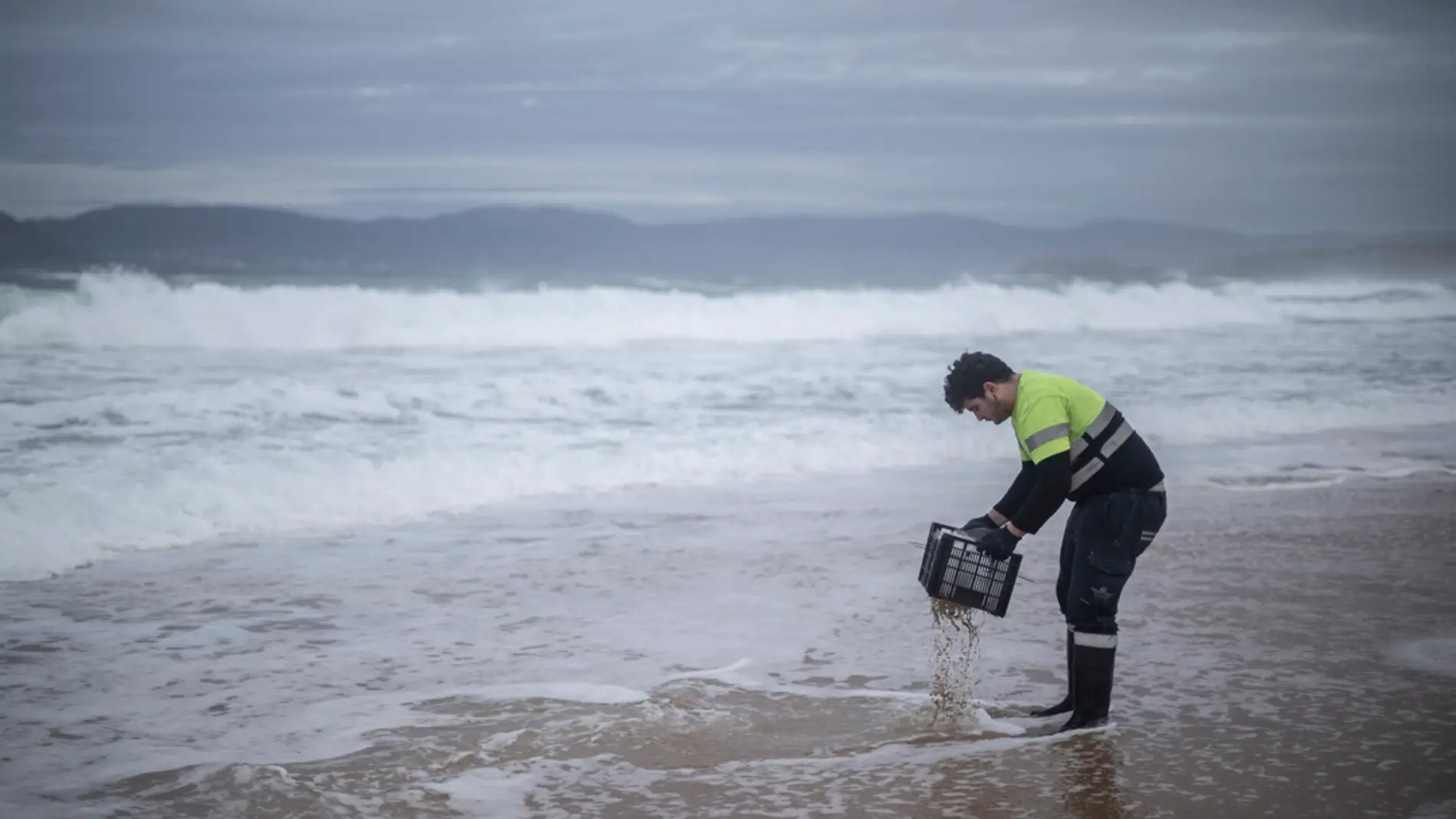 Varios operarios recogen pellets de plástico en la playa de Seiras (Porto do Son), A Coruña/ EFE/ Brais Lorenzo