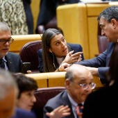 Los diputados de Junts per Catalunya, Míriam Nogueras y Josep María Cruset, durante el pleno del Congreso, reunido excepcionalmente en el Senado