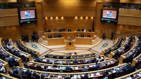 El Congreso de los Diputados el d&iacute;a 10 de enero de 2024