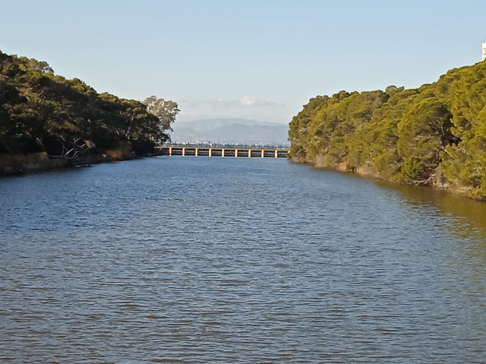 Generalitat y Gobierno pactan un plan de emergencia que garantice siempre agua suficiente para La Albufera Generalitat y Gobierno pactan un plan de emergencia que garantice siempre agua suficiente para La Albufera