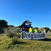 pingüinos 2024 pingüinos 2024