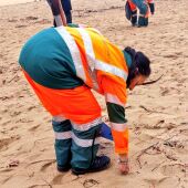 Operarios de Emulsa se encargarán de retirar los pellets de las playas de Gijón