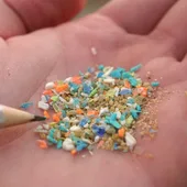 Microplásticos Microplásticos