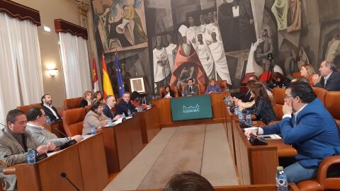 Pleno de la Diputación de Ciudad Real