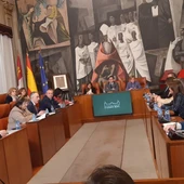 Pleno de la Diputación de Ciudad Real Pleno de la Diputación de Ciudad Real