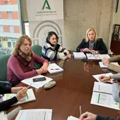 La Red Local de Acción en Salud La Red Local de Acción en Salud