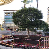 Así es el nuevo Fucus que se ha plantado en la Plaza de la Encarnación Así es el nuevo Fucus que se ha plantado en la Plaza de la Encarnación