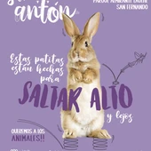 San Antón en San Fernando San Antón en San Fernando