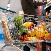 La cesta de la compra La cesta de la compra
