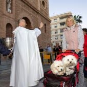 Bendición de animales domésticos a las puertas de la Iglesia de la Inmaculada de Torrevieja en San Antón 2023