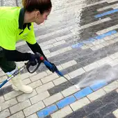Benidorm se acicala para la llegada antes de la llegada de visitantes: poda del arbolado y campaña de limpieza de chicles Benidorm se acicala para la llegada antes de la llegada de visitantes: poda del arbolado y campaña de limpieza de chicles