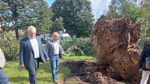 El PP quiere a Ram&oacute;n Garc&iacute;a Ca&ntilde;al como gerente de Emulsa