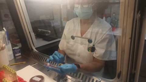 Onda Cero ha conocido el trabajo del Laboratorio de Microbiología del Hospital Can Misses de Ibiza Onda Cero ha conocido el trabajo del Laboratorio de Microbiología del Hospital Can Misses de Ibiza