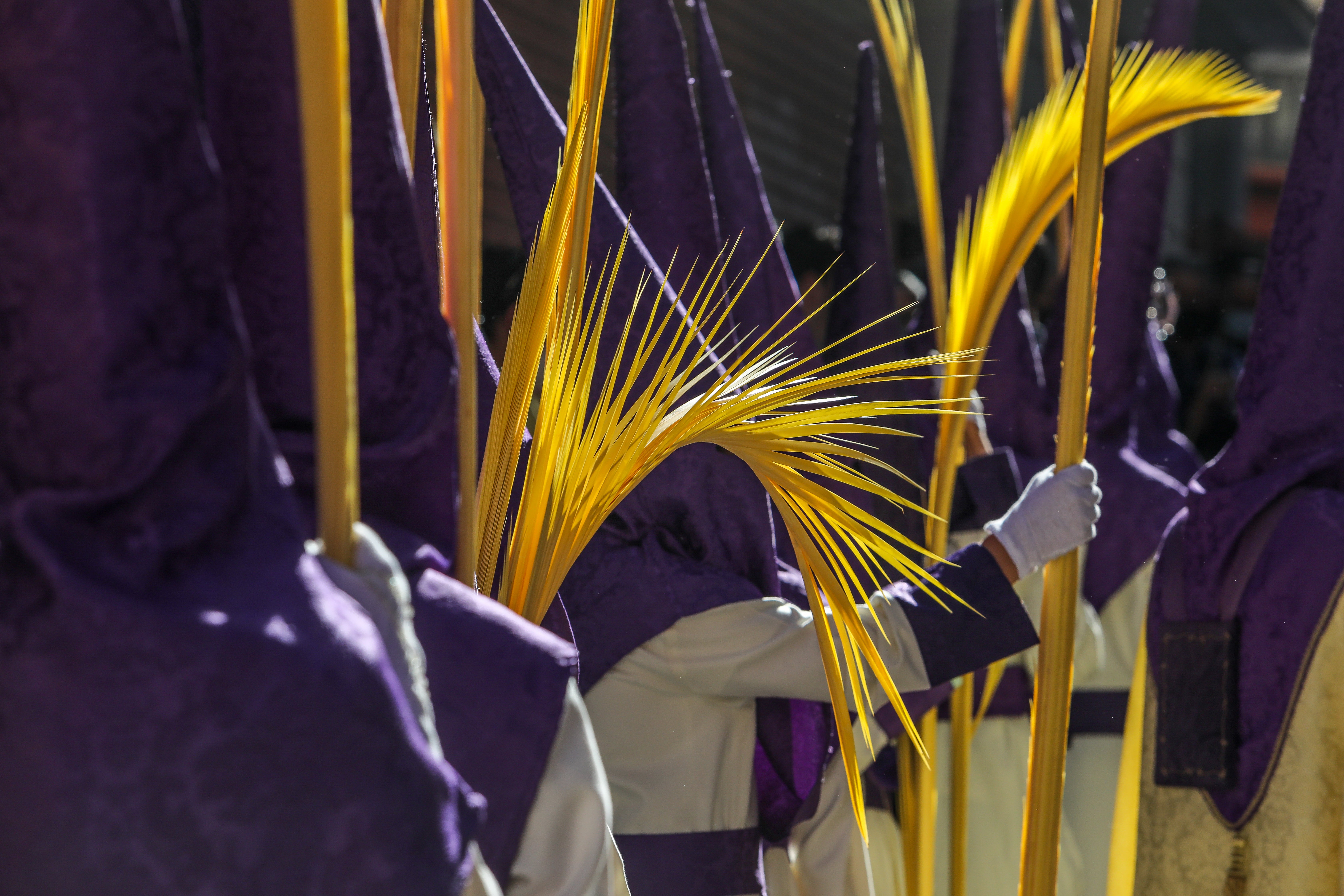 Revive el Domingo de Ramos en Al hombro Revive el Domingo de Ramos en Al hombro