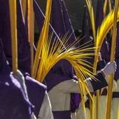 Itinerario y novedades del Domingo de Ramos de Málaga Itinerario y novedades del Domingo de Ramos de Málaga