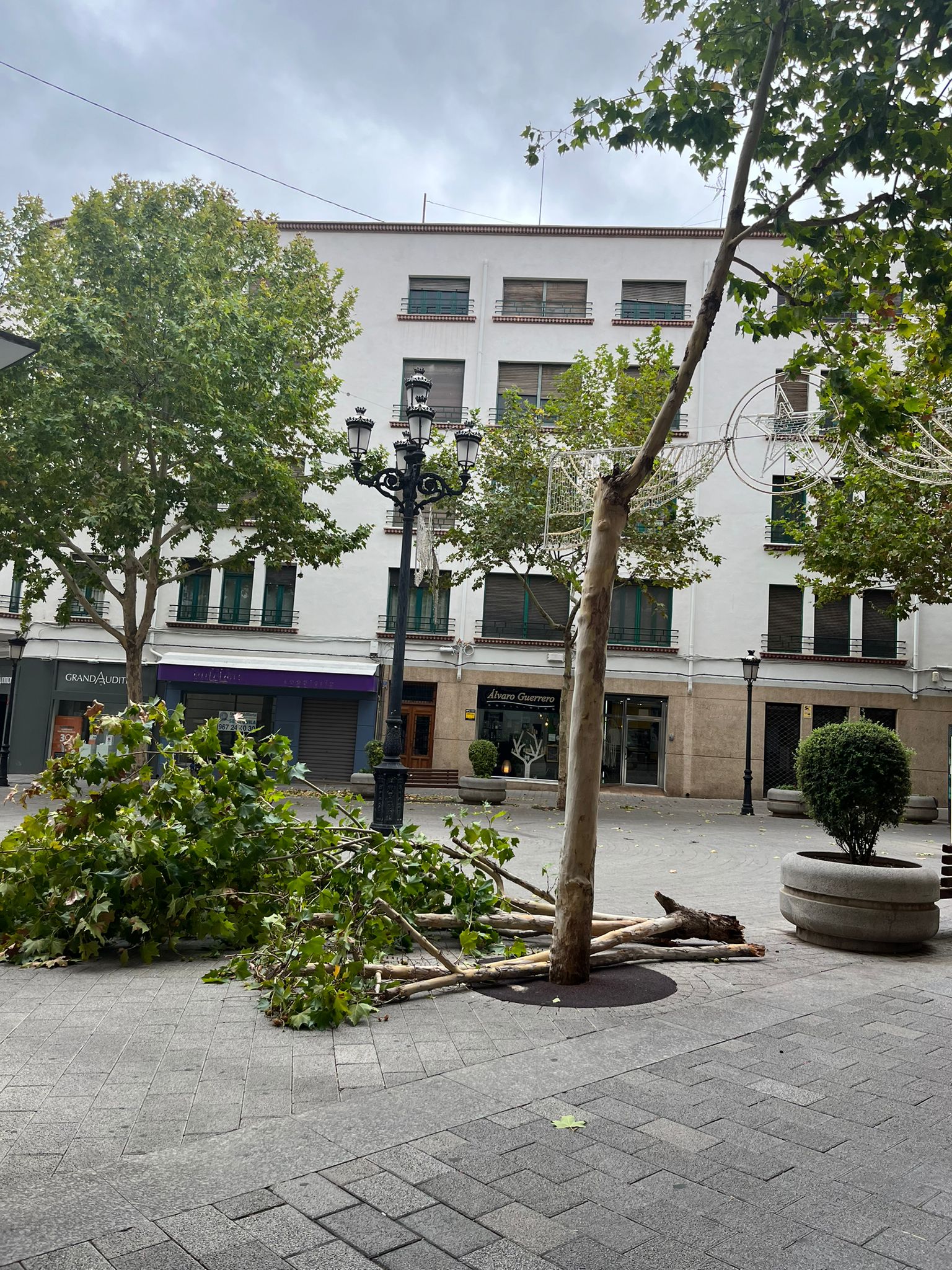 La provincia en aviso amarillo por fuertes rachas de viento La provincia en aviso amarillo por fuertes rachas de viento