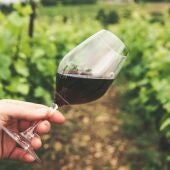 Seis vinos españoles entre los 100 mejores del mundo en relación calidad precio