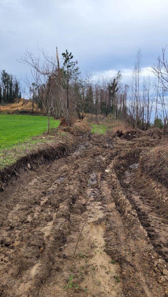 PP-Valdés denuncia el mal estado de algunas pistas forestales que impiden a los propietarios el acceso a propiedades.