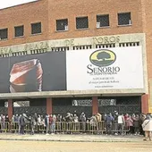 Se acabaron las colas para el Concurso de Murgas 2024 Se acabaron las colas para el Concurso de Murgas 2024