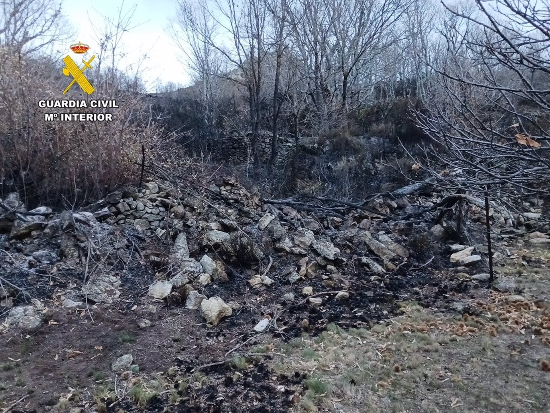 Investigan a un hombre de 60 años por una quema de restos vegetales que provocó el incendio que arrasó 176 hectáreas en Piornal Investigan a un hombre de 60 años por una quema de restos vegetales que provocó el incendio que arrasó 176 hectáreas en Piornal