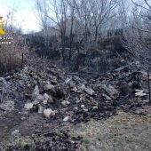 Investigan a un hombre de 60 años por una quema de restos vegetales que provocó el incendio que arrasó 176 hectáreas en Piornal 