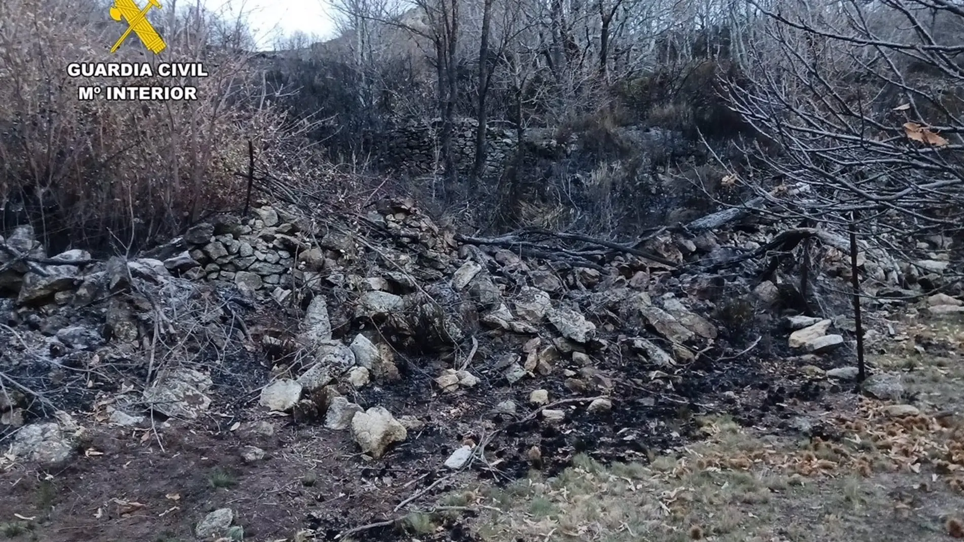 Investigan a un hombre de 60 años por una quema de restos vegetales que provocó el incendio que arrasó 176 hectáreas en Piornal 