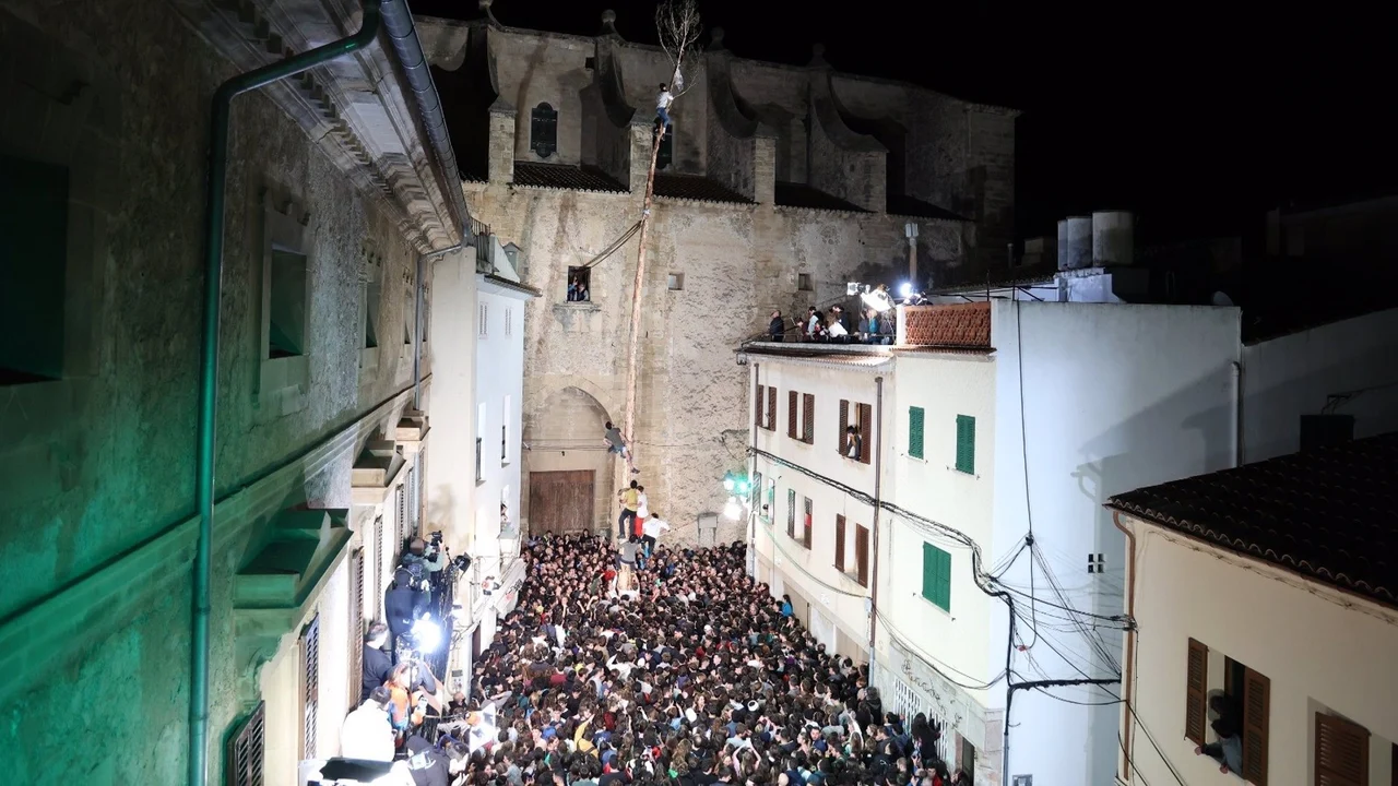 Coronación del 'Pi de Sant Antoni' de Pollença en 2024