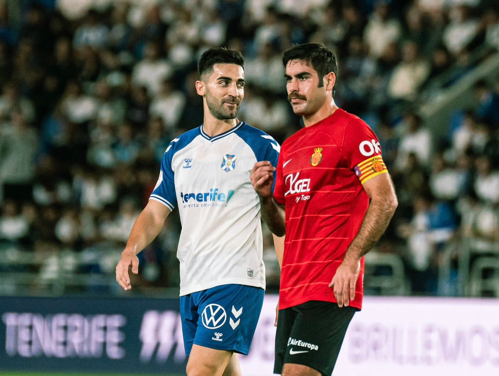 El Tenerife recupera a sus leones en el mercado de fichajes El Tenerife recupera a sus leones en el mercado de fichajes