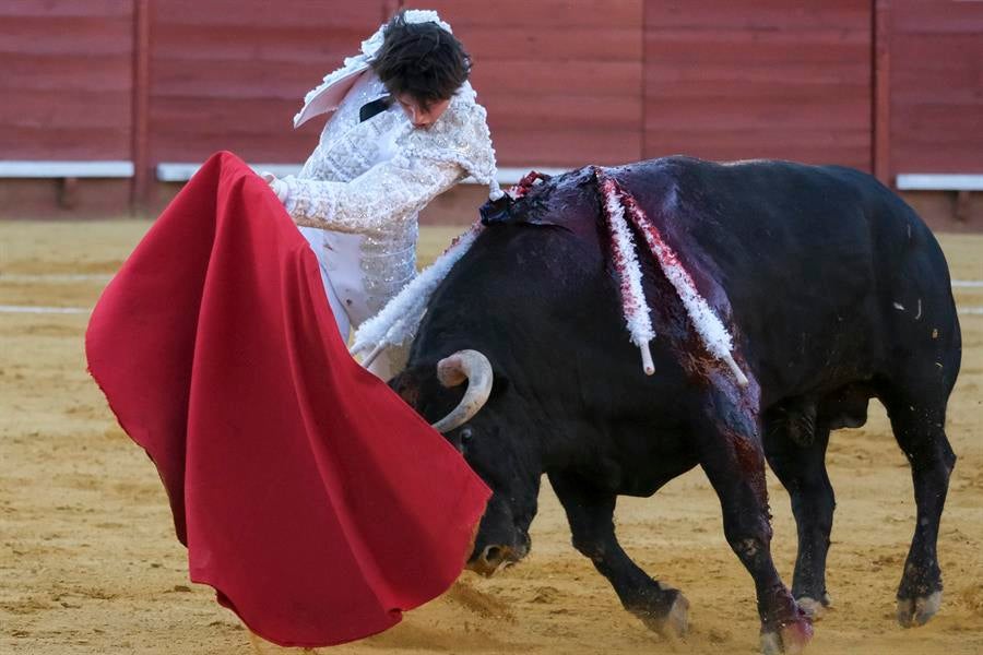 Roca Rey, Morante, Manzanares y Talavante, en la Feria de la Magdalena 2024 Roca Rey, Morante, Manzanares y Talavante, en la Feria de la Magdalena 2024