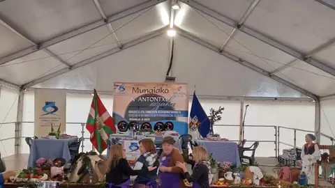 Imagen del ferial de Mungia Imagen del ferial de Mungia