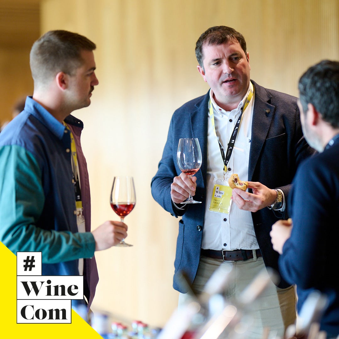 David Palacios: "De nada sirve hacer un buen vino si no sabemos transmitirlo" David Palacios: "De nada sirve hacer un buen vino si no sabemos transmitirlo"