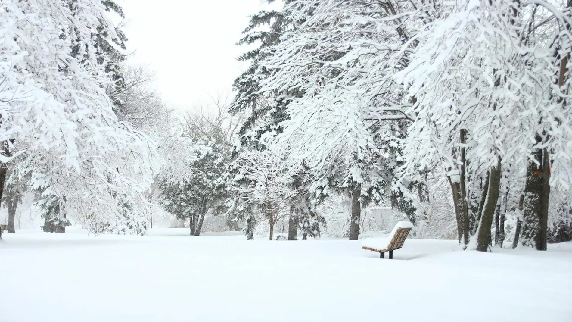 Nieve, frío🥶, lluvia⛈️. El invierno☃️ ya se despliega con todo en el  hemisferio norte. ¡Sintonízanos este lunes! #Conexió