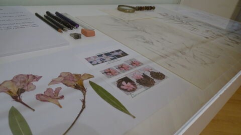 Exposici&oacute;n "El Jard&iacute;n Ilustrado"