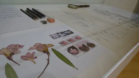 Llega hasta el Antiguo Hospital de Santa María la Rica de Alcalá de Henares la exposición "El Jardín Ilustrado" de la artista botánica Marta Chirino Exposición "El Jardín Ilustrado"