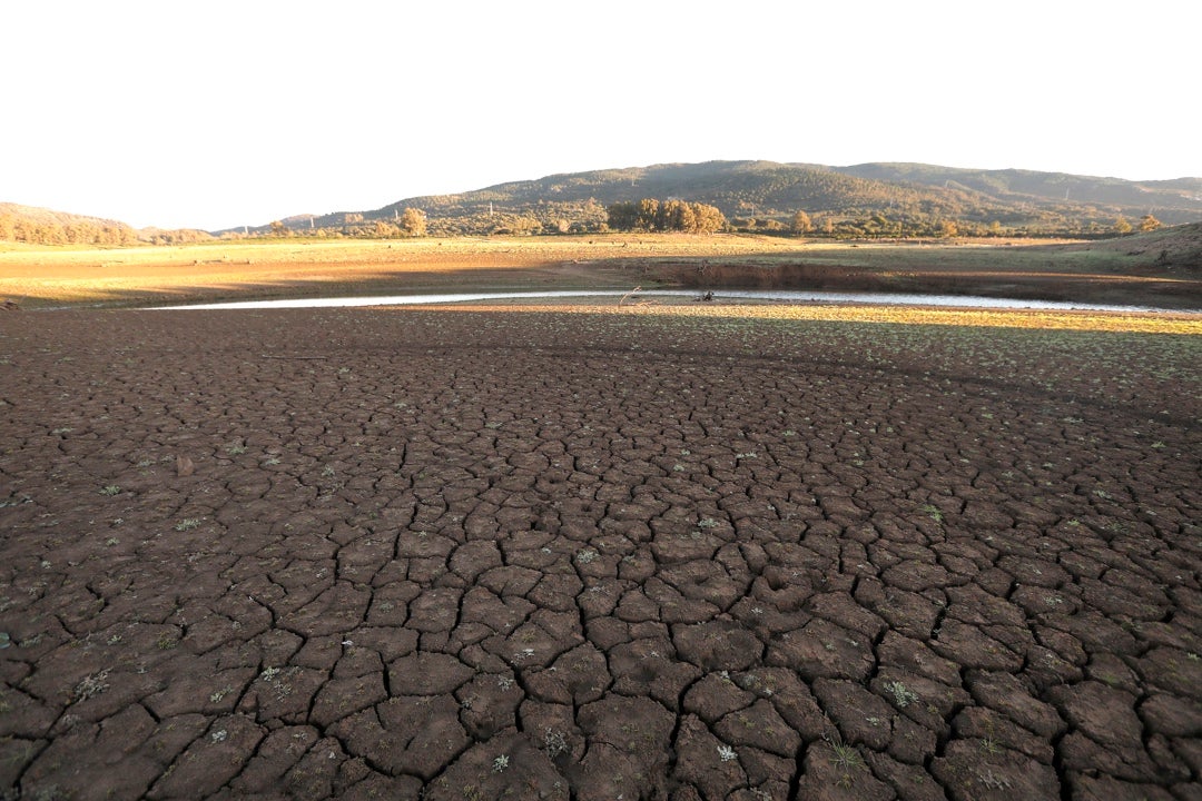 La situación de sequía extrema en España acucia a las autoridades a tomar medidas La situación de sequía extrema en España acucia a las autoridades a tomar medidas