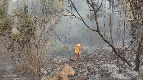 Labores extinción incendio Alzira zona del Xavegó