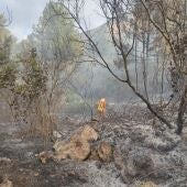 Labores extinción incendio Alzira zona del Xavegó
