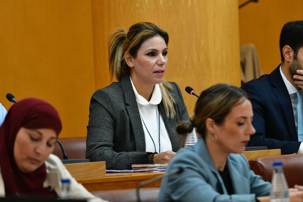 Benzina: "Ceuta no tiene las competencias para crear un centro de Salud Mental" Benzina: "Ceuta no tiene las competencias para crear un centro de Salud Mental"