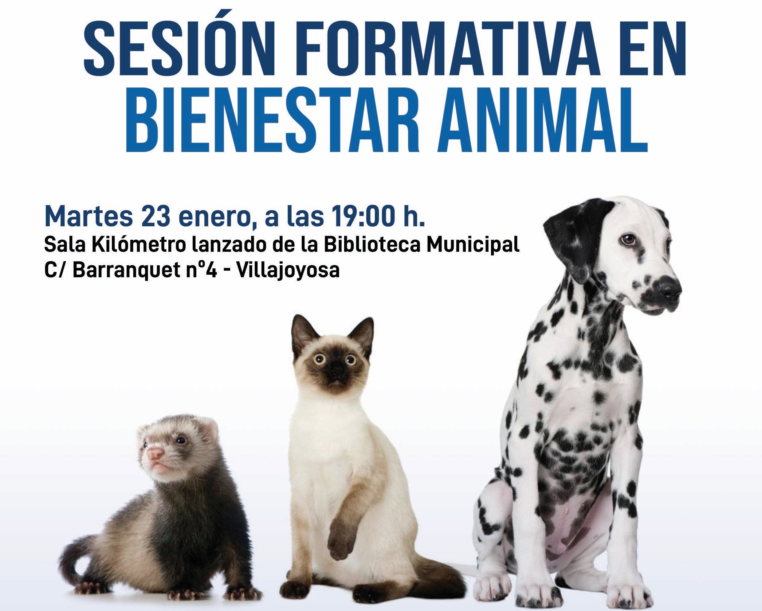 Charla informativa sobre bienestar animal en la Vila Joiosa Charla informativa sobre bienestar animal en la Vila Joiosa