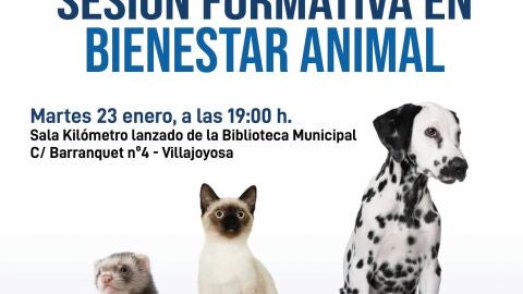 Sesi&oacute;n informativa sobre bienestar animal en la Vila Joiosa.