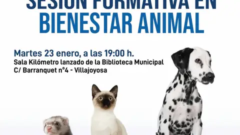 Sesión informativa sobre bienestar animal en la Vila Joiosa. Sesión informativa sobre bienestar animal en la Vila Joiosa.