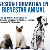 Sesión informativa sobre bienestar animal en la Vila Joiosa. Sesión informativa sobre bienestar animal en la Vila Joiosa.