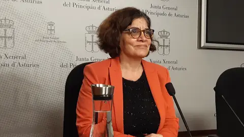 Concepción Saavedra, consejera de Salud de Asturias Concepción Saavedra, consejera de Salud de Asturias