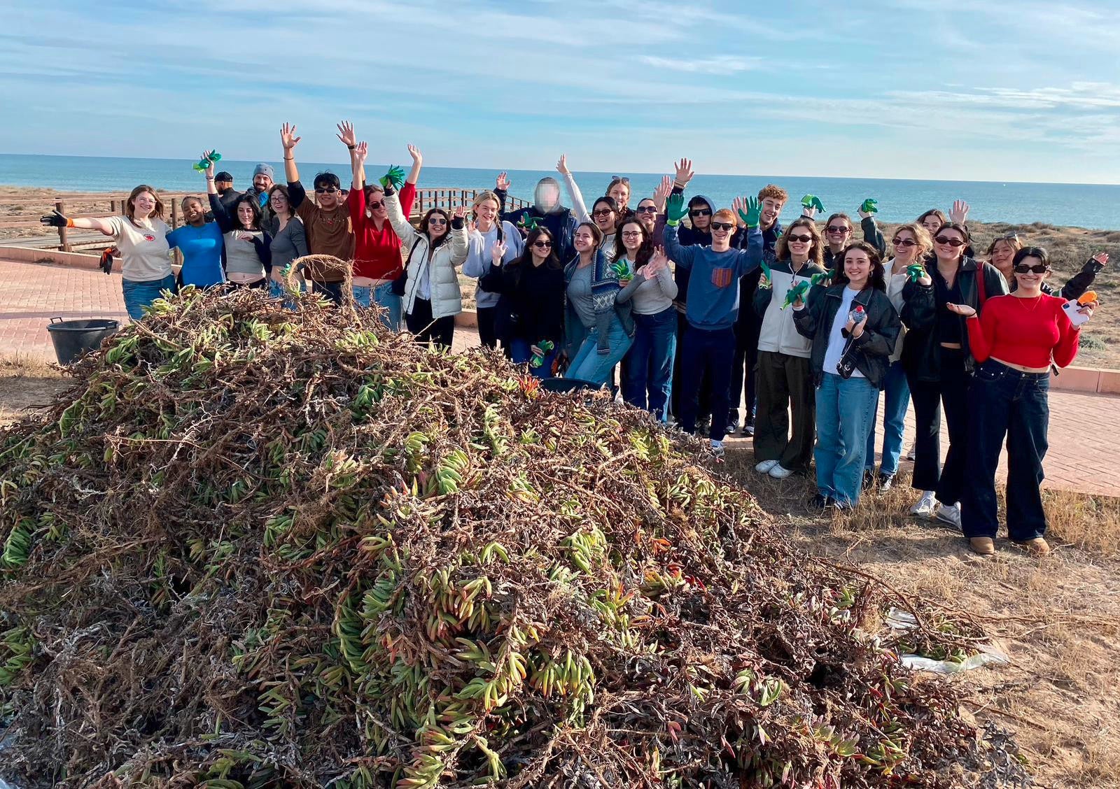 Estudiantes de EE.UU participan en la recuperación del paraje natural de Torrevieja Estudiantes de EE.UU participan en la recuperación del paraje natural de Torrevieja